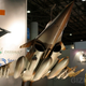 Image for article titled Dubai Air Show Has Most Amazing Aircraft and Weapon Models Ever